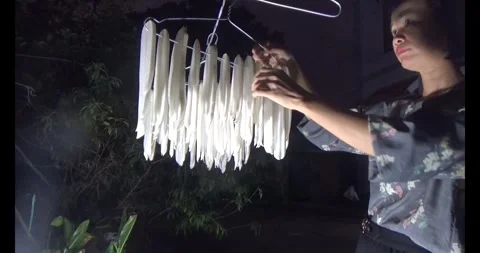 Dry the radish in the sun Stock Footage 294502932