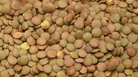 Dry raw green lentils falling, slow motion, close up Stock Footage 141768465