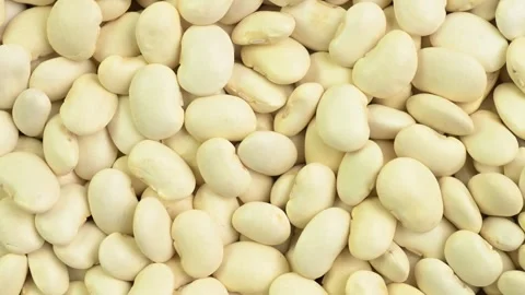 Dry raw white beans close-up Vídeos de archivo 344569988