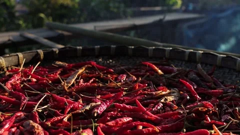 Dry Red Chili Peppers Drying Under Sunlight Stock Footage 338363169