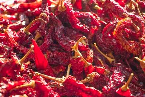 Dry Red Chilly Foto stock