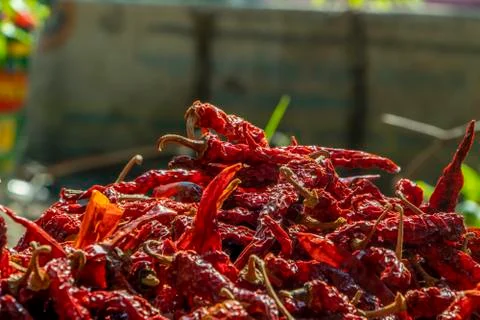 Dry Red Chilly Foto stock