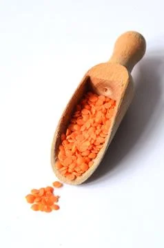 Dry  Red Lentils Stock Photos