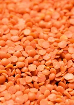 Dry  Red Lentils Stock Photos