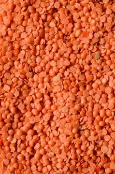 Dry  Red Lentils Stock Photos