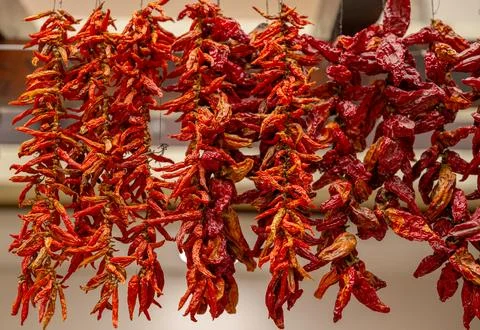 Dry red pepper on a string Stock Photos