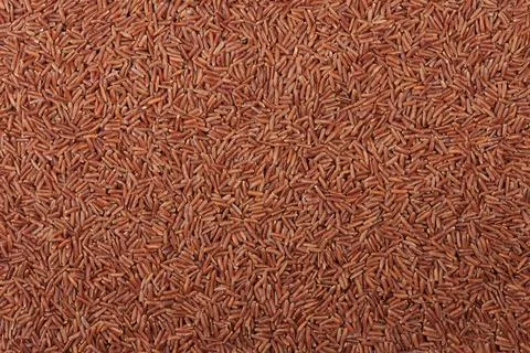 Dry red rice texture background Stock Photos