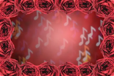 Dry red rose frame on blur note bokeh background Stock Photos