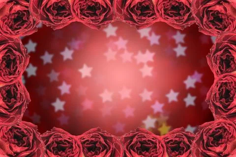 Dry red rose frame on blur star bokeh Stock Photos