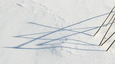 Dry reed stems create angular shadows on a snowdrift illuminated by sunlight Fotos de archivo