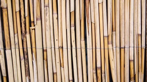 Dry reed wire-stitched Stock-Footage 75273350