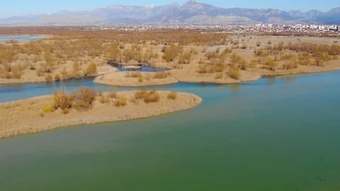 Dry reeds leafless trees calm clear water lake in mountains Video stock 125569155