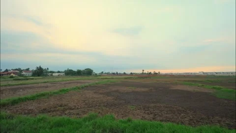 Dry Rice Field Timelapse on Cloudy Day Stock Footage 257219500