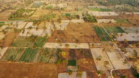 Dry rice fields in the arid countryside Stock Footage 164873357