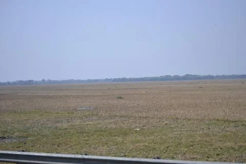 Dry rice fields during the dry season Stock Photos