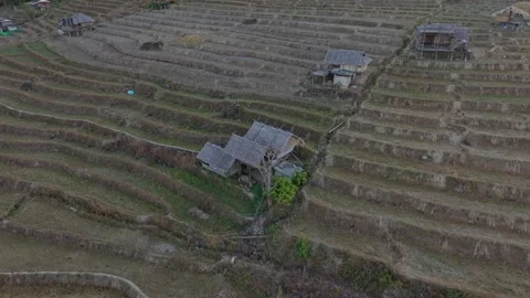 Dry rice fields stretch beneath misty hill range, Thailand Stock Footage 309114551