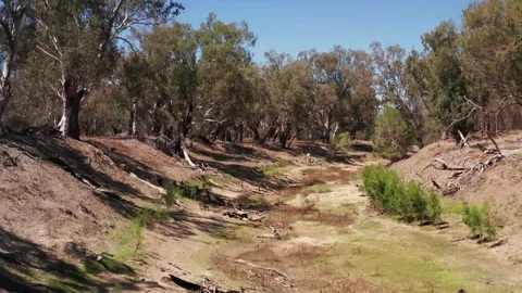 Dry river bed in the Australian outback during a severe drought 스톡 동영상 333149426