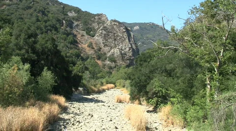 Dry River Bed In Chaparral Stock Footage