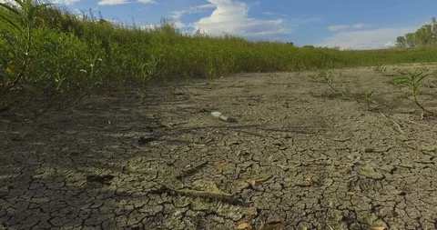 Dry river bed, empty glass bottle Stock Footage 121996847
