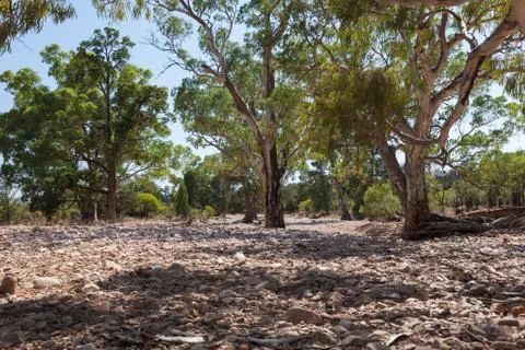 Dry river bed. flinders ranges (near iga warta). south australia. Stock Photos