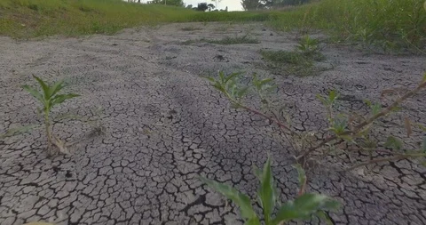 Dry river bed - gimbal tracking shot Vídeo Stock 122093264