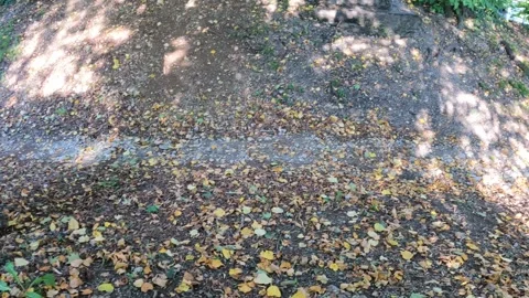 Dry river bed in Italy Video stock 286393039