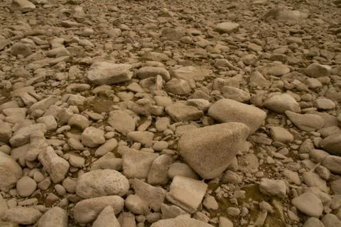 Dry river bed Foto stock