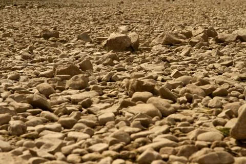 Dry river bed Stock Photos