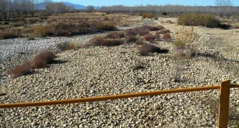 Dry river bed Stock Photos