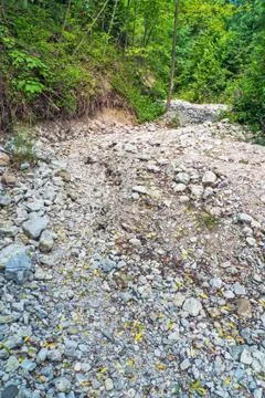 Dry River Bed Stock Photos