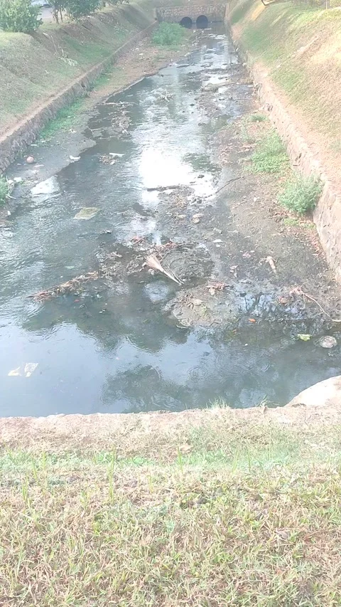 Dry River Canal During Drought Season in the Morning with Low Water Level Stock Footage 340604700