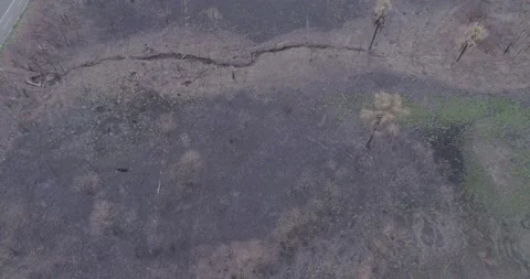 Dry river drone top view Stock Footage 139950951