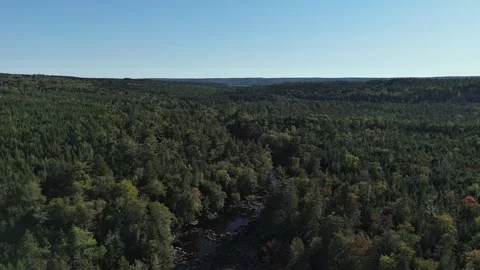 Dry River Stock Footage 342268946