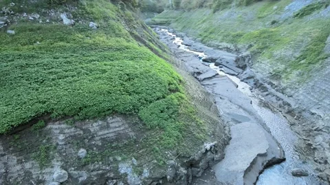 Dry river muddy Stock Footage 238597043