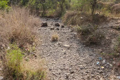 Dry river or stream path with pebbles 스톡 사진