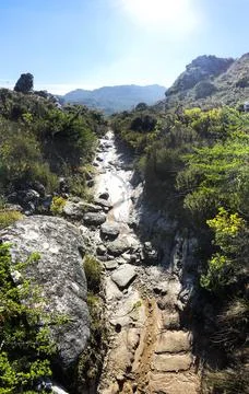 Dry River Path Stock Photos