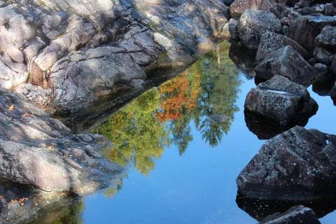 Dry river. Stock Photos