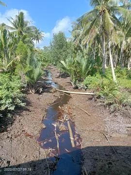 Dry river Stock Photos