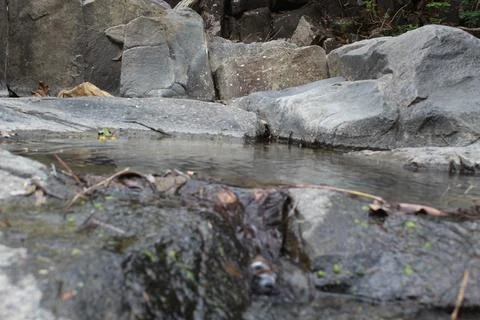 Dry River Stock Photos