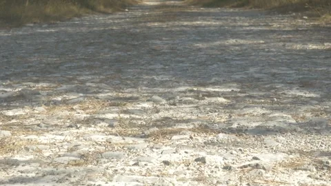 Dry River Stone Path Stock Footage 341511438