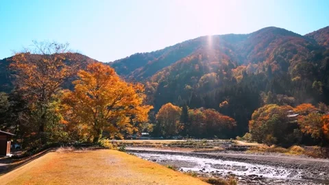 Dry river in wilderness mountains Stock Footage 234540856
