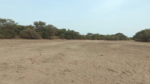 Dry Riverbed Stock Footage 23080835