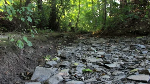 Dry riverbed Stock Footage 53085264