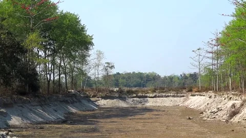 Dry riverbed landscape with forest trees and sandy banks under clear sky Stock Footage 331276776