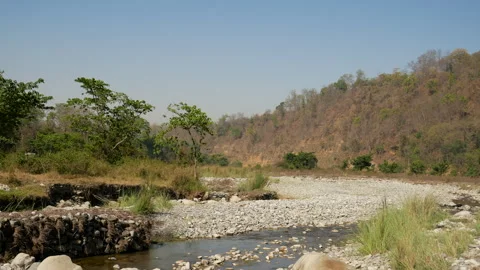 Dry Riverbed Landscape In Jim Corbett National Park During Summer Stock Footage 346370251