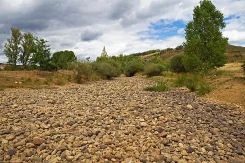 Dry  riverbed Foto stock