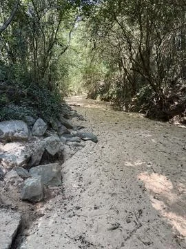 Dry riverbed Stock Photos