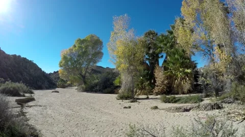 Dry Riverbed in Southwest Desert Oasis Hot Dry Day Sun and Blue Sky Stock Footage
