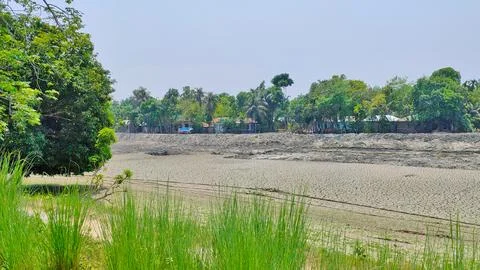 Dry Riverbed Surrounded by Dense Green Vegetation Stock Photos