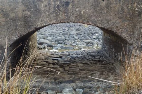 Dry riverbed under a bridge with brown reeds Stock Photos